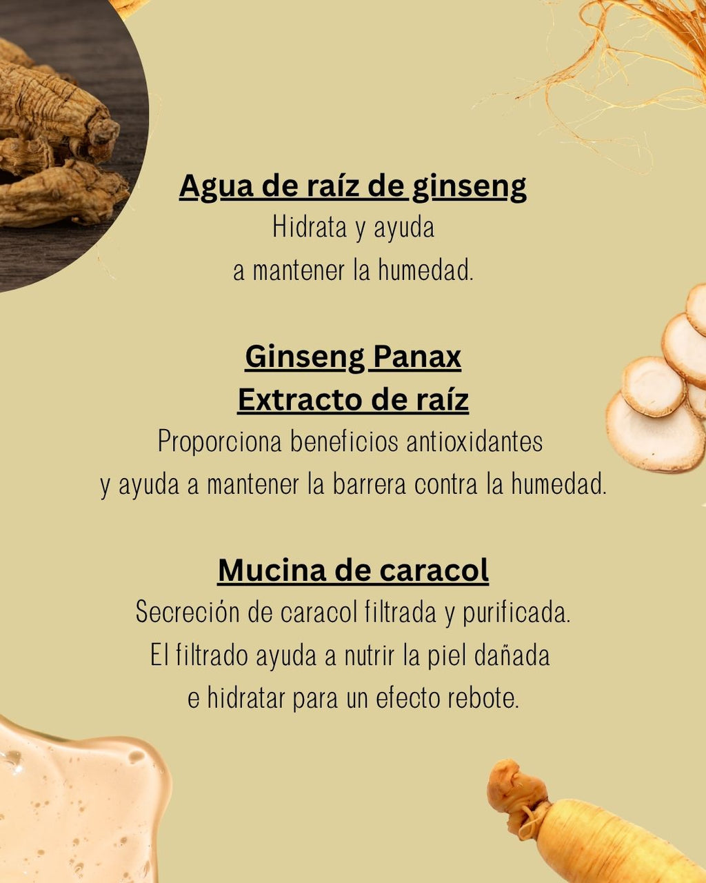 Sérum Facial Revive