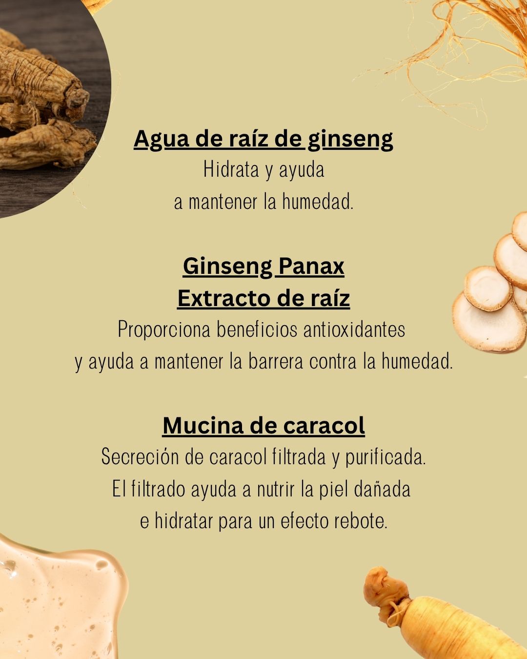 Sérum Facial Revive